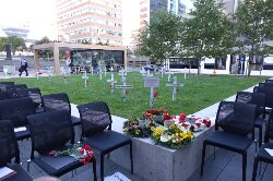 ANZ Field of Remembrance