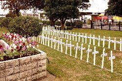 Parallel lines of crosses 