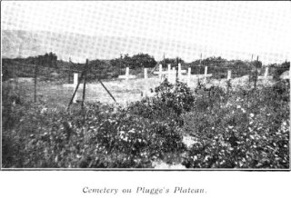 WH1-OtagP013a(h280)-867